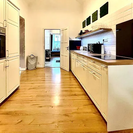 Apartment Vip Regia